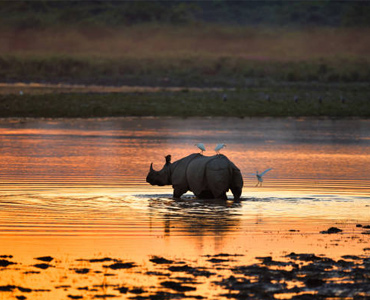 package